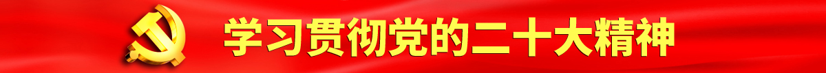 想看艹逼视频认真学习贯彻落实党的二十大会议精神